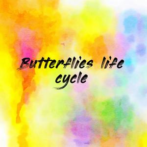 Butterflies life cycle