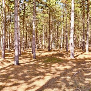 Ghosts of Beers past