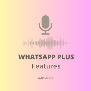 Apk mods websites feature and reviews