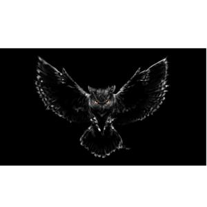 Talking Owls 86