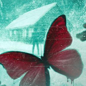 Bipolar Afterthoughts