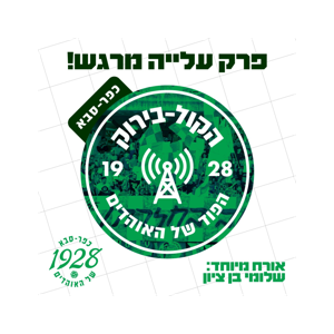 הקול בירוק פרק 14