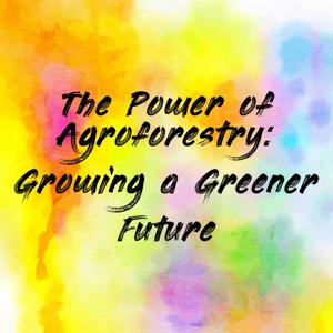 The Power of Agroforestry: Growing a Greener Future