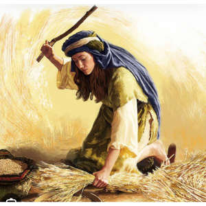 The Threshing Floor 77