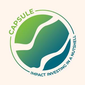 Capsule: Impact Investing in a Nutshell