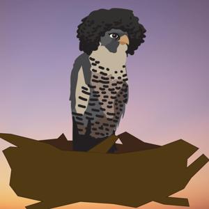 The Bird's Nest