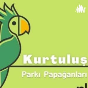 Kurtuluş Parkı Papağanları
