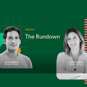 The Rundown