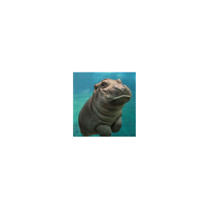 Hungry Hippos