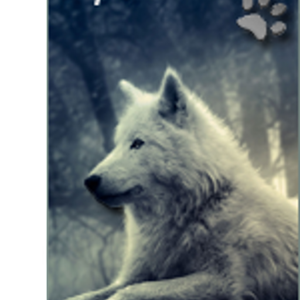 xplosive 3Speak Podcast