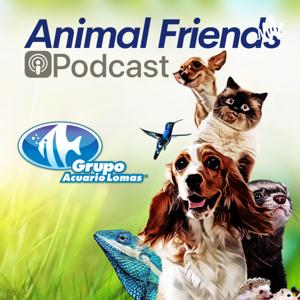 Animal Friends