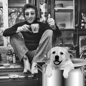 Cooking With Dog