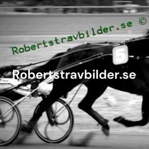 Robertstravbilder.se podcast