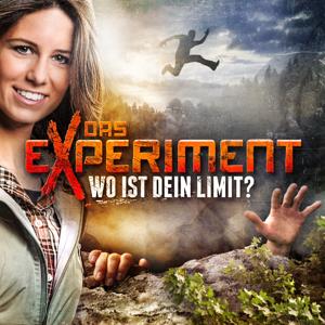 Das Experiment