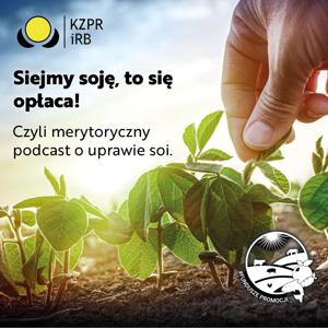 Siejmy soję, to się opłaca!