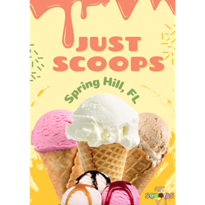 Sunshine State Scoops