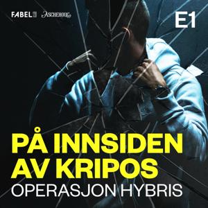 På innsiden av Kripos. Operasjon Hybris
