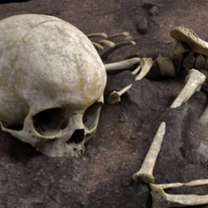 The Bone Pit Jiu Jitsu Podcast