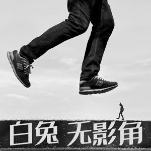 白兔无影角 - 摄影与摄影之外