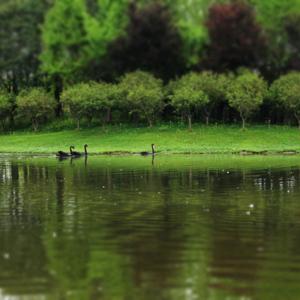 VOL6:在春天,或是在梦里