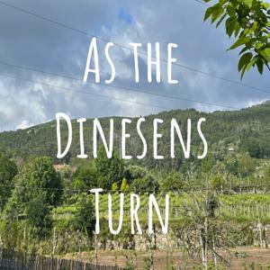 As the Dinesens Turn