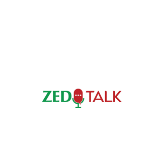 ZED Talk