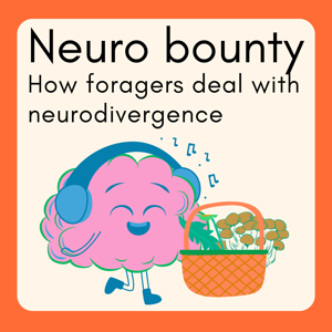 Neuro bounty