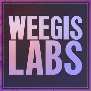 WGIS LABS