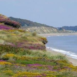 Ruby Shoes Podcast - episode 32 - Pooches, song birds and Oranges