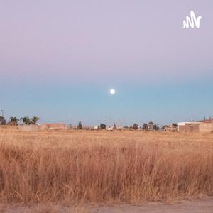 La Educacion Como Inversion