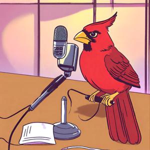 The BAD Podcast
