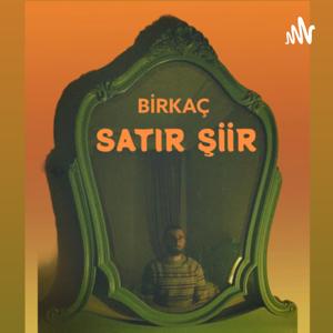 BİRKAÇ SATIR ŞİİR
