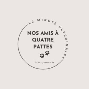 Nos amis à quatre pattes