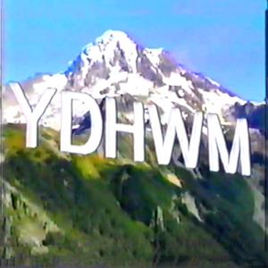 YDHWM