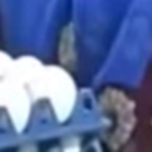 Rates and Prices of Poultry in India