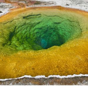 It's Literally with LC: A conversation about the Process