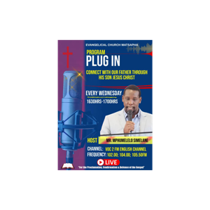 Plug - In