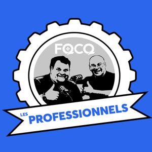 Les professionnels (FQCQ)
