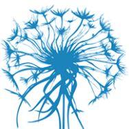 Access Consciousness