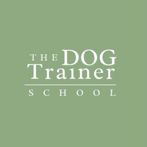 The Dog Trainer School