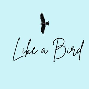 Like a Bird Podcast