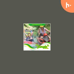 Bali combo Activity tours