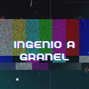 Ingenio a granel