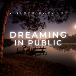 Dreaming In Public