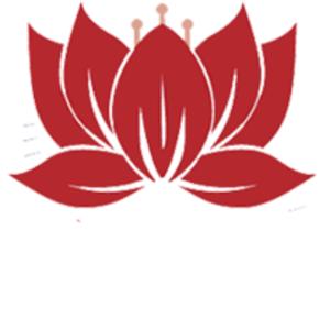 Dich Vu Tang Le