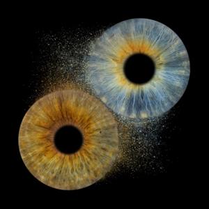 Iris Blink Podcast