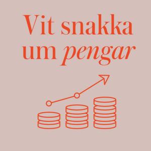 Vit snakka um pengar
