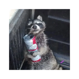 The Trash Panda Film Society Podcast