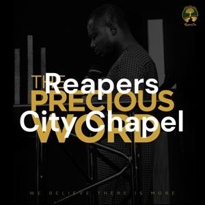 The Precious Word