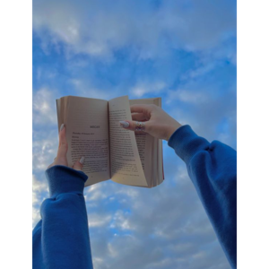 Audio book Mongolia